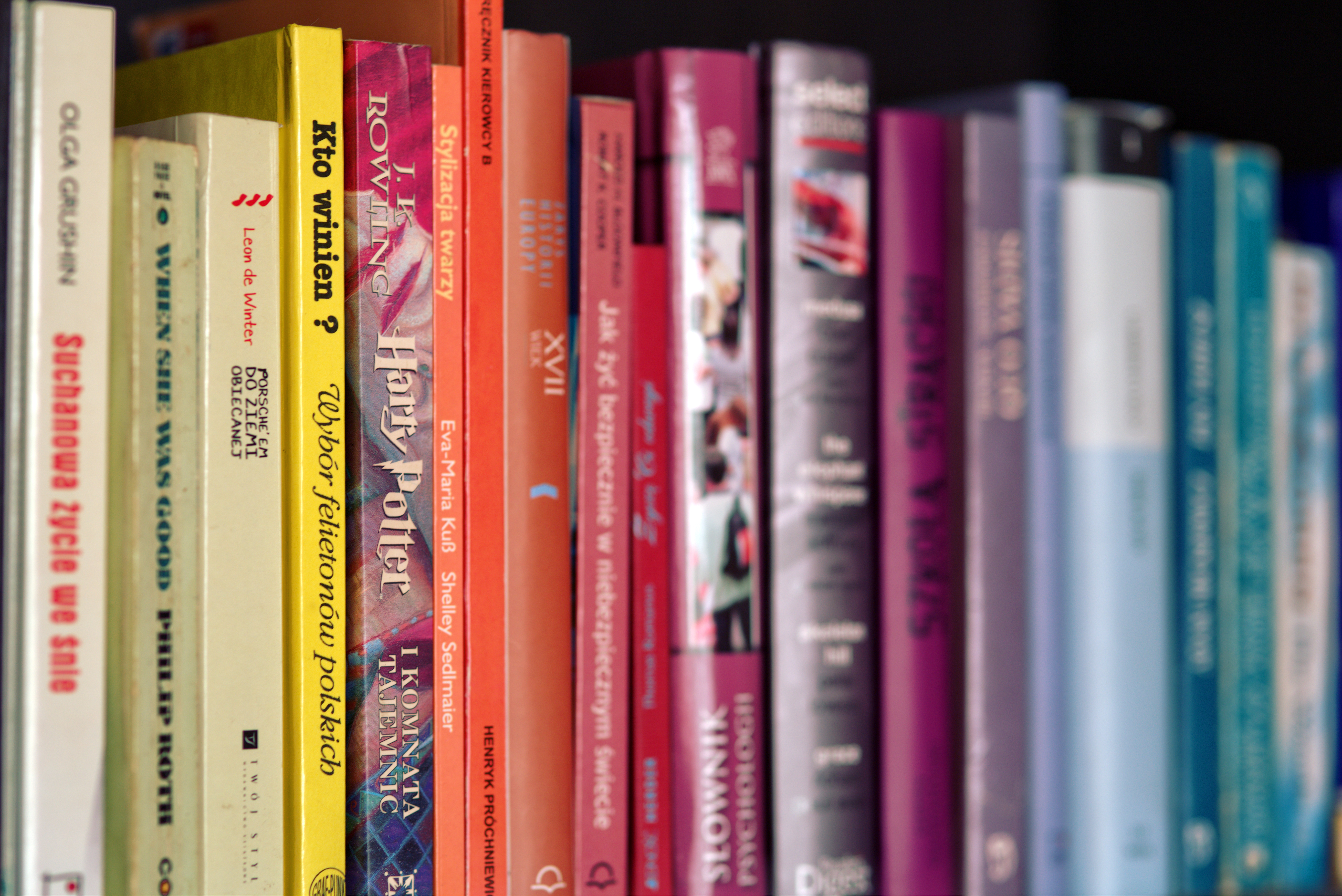 Books arranged by colour on a shelf